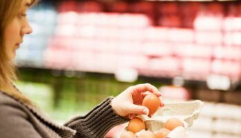 أسعار البيض في إسرائيل….نار 2025