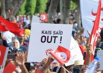 الاتحاد الأفريقي يدين موقف الرئيس التونسي"الصادم" من المهاجرين 2025