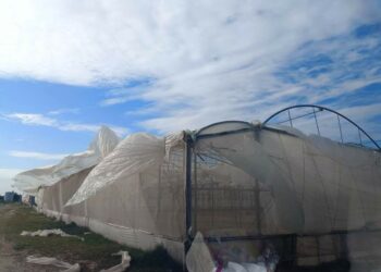 غزة .. المنخفض الجوي يكبد المزارعين أضراراً كبيرة ويخسرهم الموسم الزراعي 2025