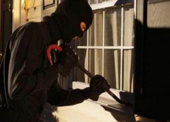 بسبب ارتفاع اسعارها …ضبط 7 متهمين نفذوا سطو مسلح على مزرعة وسرقوا دواجن في مصر 2025