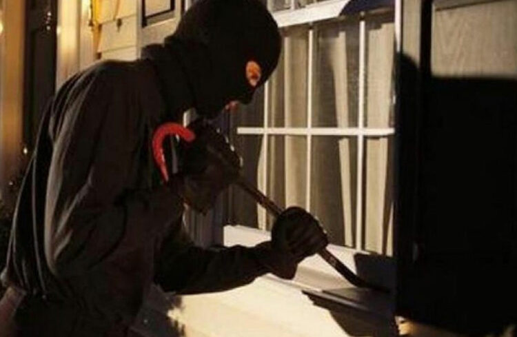 بسبب ارتفاع اسعارها …ضبط 7 متهمين نفذوا سطو مسلح على مزرعة وسرقوا دواجن في مصر 1 بسبب ارتفاع اسعارها …ضبط 7 متهمين نفذوا سطو مسلح على مزرعة وسرقوا دواجن في مصر 2025