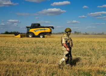 روسيا تربط بين تمديد اتفاق تصدير الحبوب بالعقوبات الغربية 2025