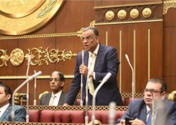 رئيس لجنة الإعلام بمجلس الشيوخ المصرى: الشعب ليس لديه وعى 2025