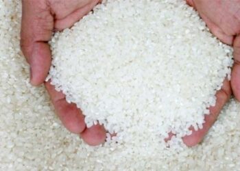 عجز بالمعروضة من الأرز في الأسواق والحكومة توضح 2024