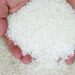 مصر: ارتفاع أسعار الأرز الشعير 500 جنيه للطن في الأسواق 2024