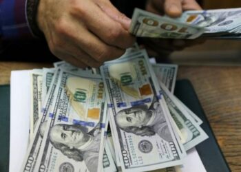 ارتفاع سعر صرف الدولار أمام الجنيه المصري لليوم الثاني على التوالي 2024