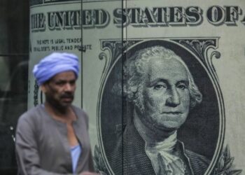 ستاندرد آند: تفيض الجنيه المصري مقابل الدولار بأكثر من 50 % 2024