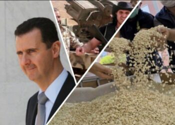 عقوبات أمريكية على 6 أشخاص بينهم اثنان من عائلة بشار الأسد لنشاطهم في تجارة المخدرات 2024
