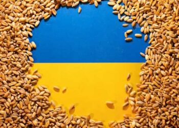 سلوفاكيا تنضم لبولندا و تحظر استيراد الحبوب الأوكرانية 2024