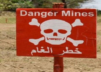 الأمم المتحدة تحذر من كارثة إنسانية فى مصر …تعرف على التفاصيل 2025