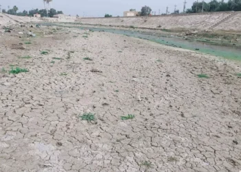 البنك الدولي: نصيب الفرد من المياه في الشرق الأوسط وشمال أفريقيا يصل لما دون "عتبة الندرة المطلقة" 2025