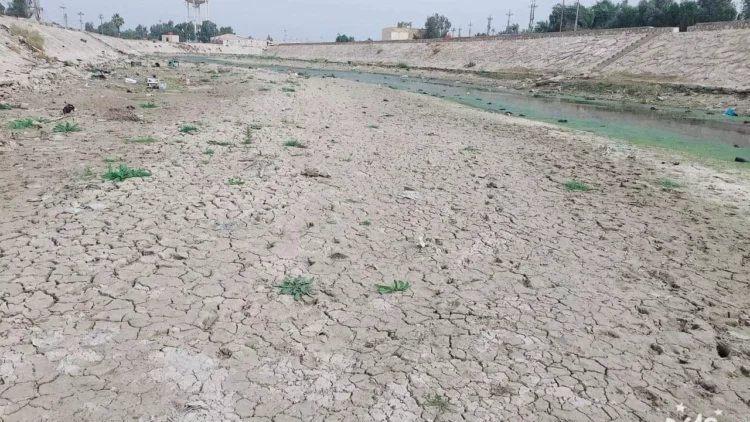 البنك الدولي: نصيب الفرد من المياه في الشرق الأوسط وشمال أفريقيا يصل لما دون "عتبة الندرة المطلقة" 2024