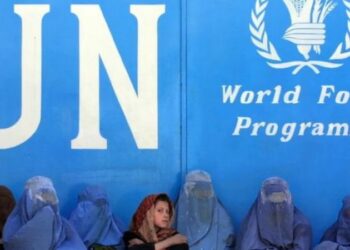 مجلس الأمن يدين بالإجماع قرار حظر عمل النساء في الأمم المتحدة 2024