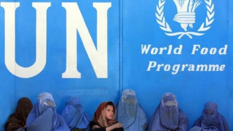 مجلس الأمن يدين بالإجماع قرار حظر عمل النساء في الأمم المتحدة 2024