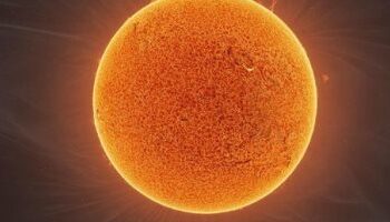 بسبب ضربة الشمس ….مصرع العشرات خلال فعالية حكومية قرب "مومباي" بالهند 2025