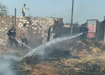 حريق ضخم يدمر حظائر الماشية بشمال مصر 2025