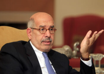 Opposition leader Mohamed ElBaradei speaks during an interview in his home in Cairo November 24, 2012. ElBaradei said on Saturday there could be no dialogue with Egypt's president until he scrapped a "dictatorial" decree that he said gave the Islamist leader Mohamed Mursi the powers of a pharaoh. REUTERS/Mohamed Abd El Ghany (EGYPT - Tags: POLITICS HEADSHOT)