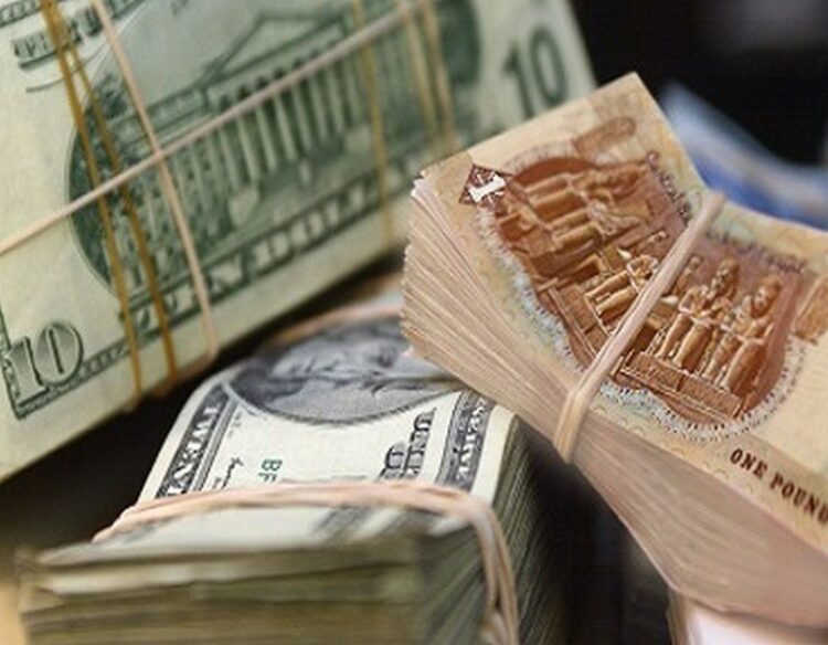 سعر الدولار أمام الجنيه المصري في بداية تعاملات اليوم الاثنين 1 يوليو 2024 2024