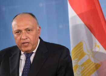 وزير خارجية مصر يبحث مع 7 وزراء عرب وأفارقة الوضع في السودان 2024