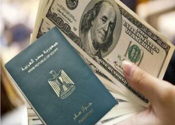 الدولار مقابل جواز السفر .. تعديل شروط الحصول على الجنسية المصرية 2024