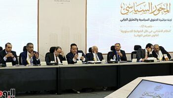 مسؤول مصرى: مناقشات لجنة مباشرة حقوق السياسية بالحوار الوطني غير جيدة 2025