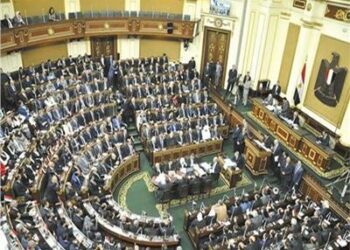 برلماني مصرى : الحكومة فشلت فى تطبيق استراتيجية للاستفادة من الثروات المعدنية 2024