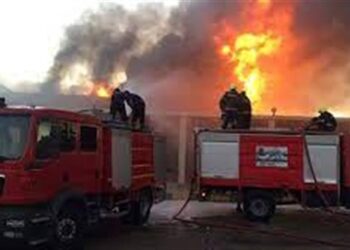 حرائق مدمرة تلتهم مزارع الدواجن والماشية فى صعيد مصر …والسبب مجهول 2025