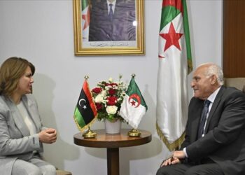 وزيرة خارجية الديبية تبحث مع نظيرها الجزائري الأوضاع في ليبيا 2024