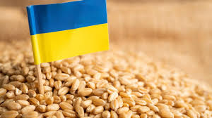 احتجاجات المزارعين تدفع الاتحاد الأوروبي لإعادة الرسوم على واردات السكر والبيض من أوكرانيا 2024