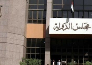 منظمة حقوقية تطعن أمام الإدارية العليا بشأن رسوم الاطلاع والخدمات المميكنة 2025