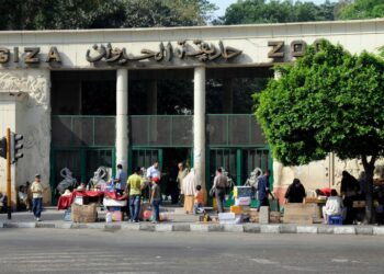 مصر: تطوير حديقة الحيوان تثير تشكيك برلماني معارض وتساؤلات حول التمويل 2024