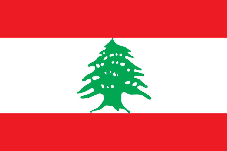 أميركا :  زعماء لبنان يقدمون مصالحهم على مصلحة الشعب 2024