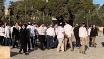 مُستوطنون يعتدون على مدنيين فلسطينيين جنوب الضفة الغربية المُحتلة 2025