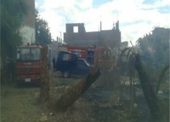  حريق مدمر يلتهم اكبر حظيرة اغنام بصعيد مصر  2025