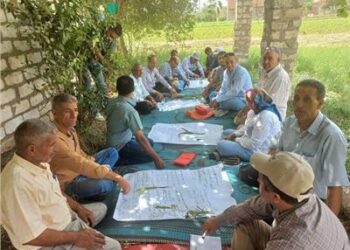 مصر : «الفاو تنظم دورة تدريبية   لمكافحة «دودة الحشد الخريفية» 2025