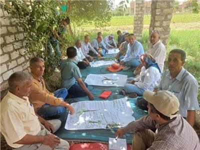 مصر : «الفاو تنظم دورة تدريبية لمكافحة «دودة الحشد الخريفية» 1 مصر : «الفاو تنظم دورة تدريبية لمكافحة «دودة الحشد الخريفية» 2025