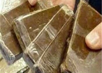 ضبط أطنان من مخدر الحشيش بالإسكندرية.. قبل ترويجها بالعيد 2025