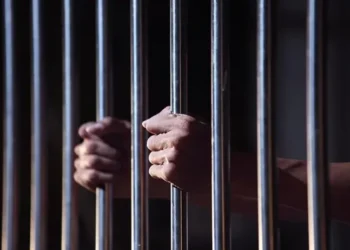 نيابة أمن الدولة تجدد حبس 28 متهما في قضية "دعم فلسطين" بالقاهرة 2024