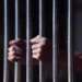 تقرير حقوقي يحذر من تدهور الحالة الصحية لعامل الإسعاف المعتقل سامح زكريا 2024