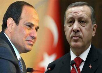 السيسي وأردوغان يبحثان الصراع في غزة 2024