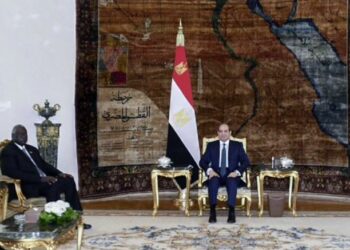 السيسي لـ عقار: مصر تبذل أقصى الجهد لتحقيق التهدئة وحقن الدماء في السودان 2024