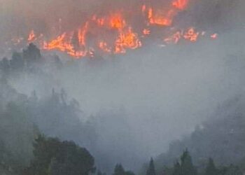 الحرائق تلتهم  غابات الكناري.. النيران المستعرة تدمر أكبر غابات إسبانيا  2025