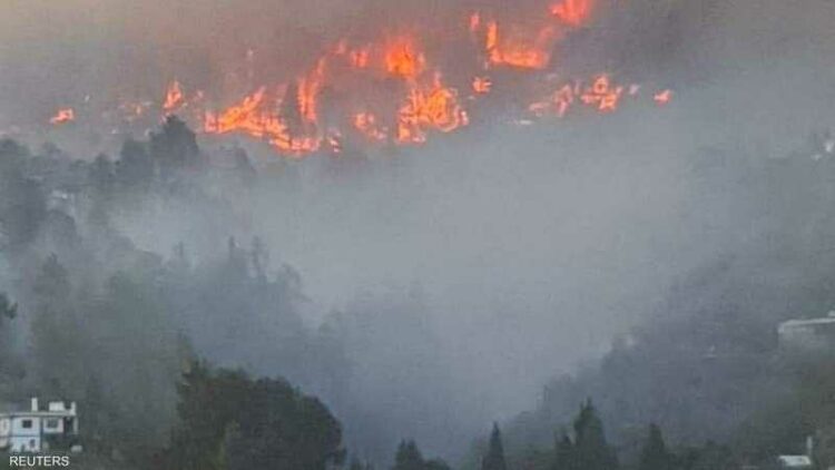 الحرائق تلتهم  غابات الكناري.. النيران المستعرة تدمر أكبر غابات إسبانيا  2025