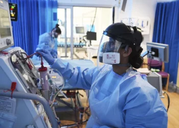 تونس تشهد ارتفاعا خطير في إصابات الحمى المالطية 2025