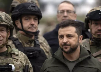 برلمان ألمانيا: أوكرانيا مثل مدمن المخدرات تتوسل بكل الطرق 2025