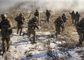 مستشار زيلنيسكى : الرئيس الأوكراني صورة فقط ولا يقوم باى دور 2025