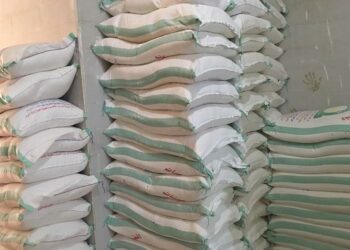 مصر : ضبط مئات الاطنان من الدقيق المدعم و أكثر من 8 آلاف لتر مواد بترولية قبل بيعهم بالسوق السوداء 2025