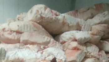 ضبط 1.3 طن مصنعات دواجن فاسدة ولحوم مذبوحة خارج المجازر خلال حملات بمحافظة  الجيزة بمصر  2025