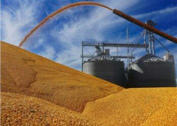 فرنسا  تتوعد روسيا بعد تدين تعليق  مشاركتها في اتفاق تصدير الحبوب عبر البحر الأسود 2025