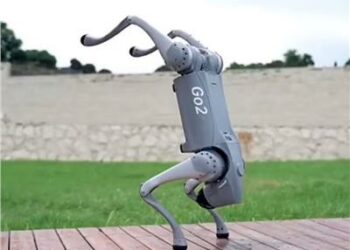  طرح كلب آلي للبيع فى الصين ...يثير الجدل  2025